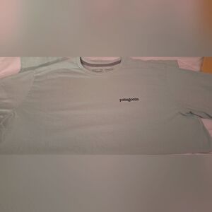 Patagonia MINT GREEN SHORT Sleeve Tee